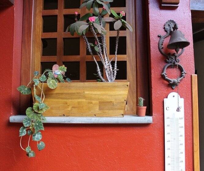 Сельский отель Rural Fonda De La Tea The Best Location And The Best Views