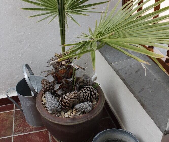 Сельский отель Rural Fonda De La Tea The Best Location And The Best Views