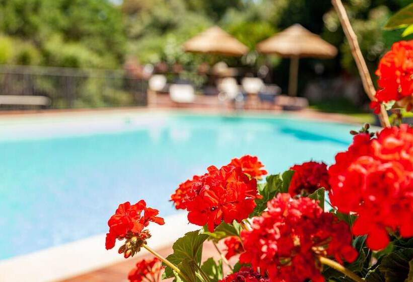 בית מלון כפרי San Trano