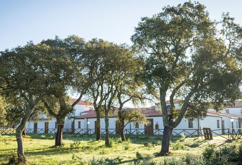 בית מלון כפרי Su Baione