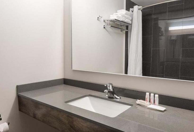 ホテル Super 8 By Wyndham Downtown Toronto