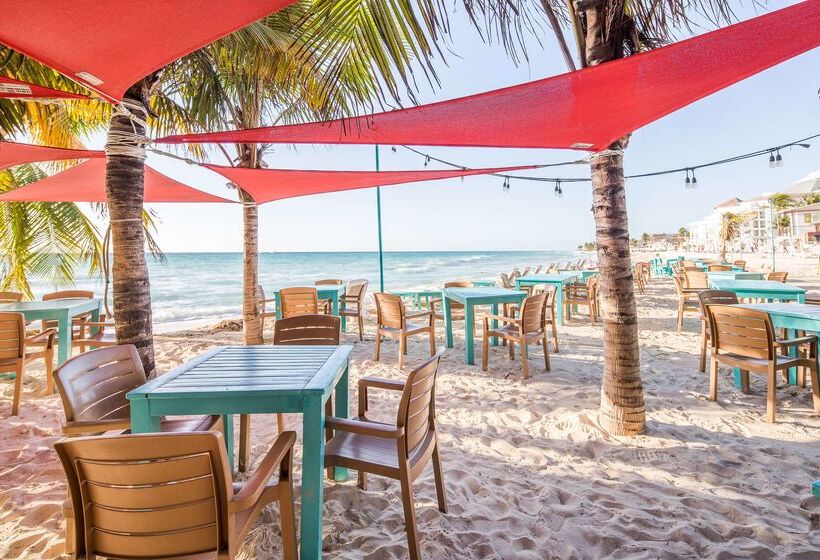 호텔 Wyndham Garden Playa Del Carmen