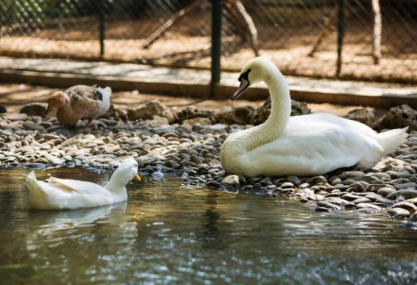 리조트 Bellis Deluxe Hotel & Heated For Winter Aqua Park