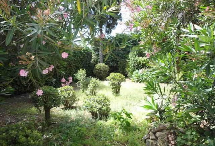 里亚德 Jnane Sherazade