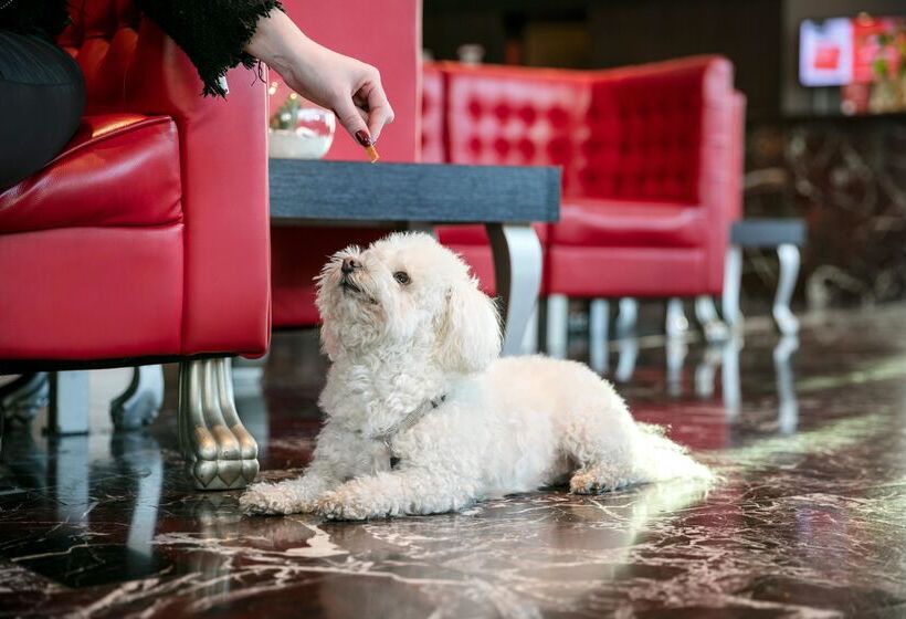 Arcotel Kaiserwasser Wien