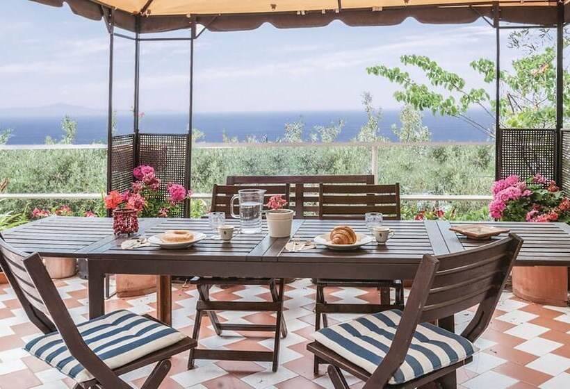 ホテル Baia Serena