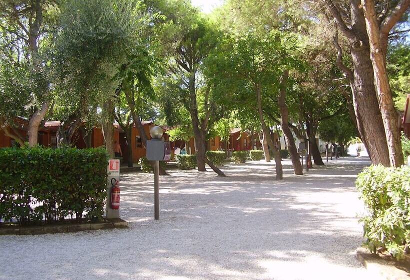 ホテル Camping Village Riviera