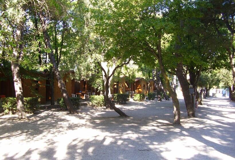 ホテル Camping Village Riviera