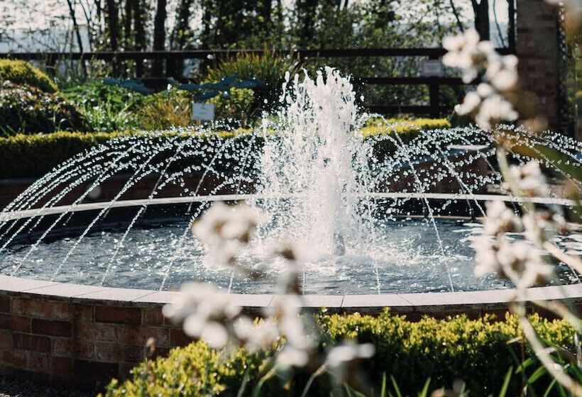 فندق The Montenotte