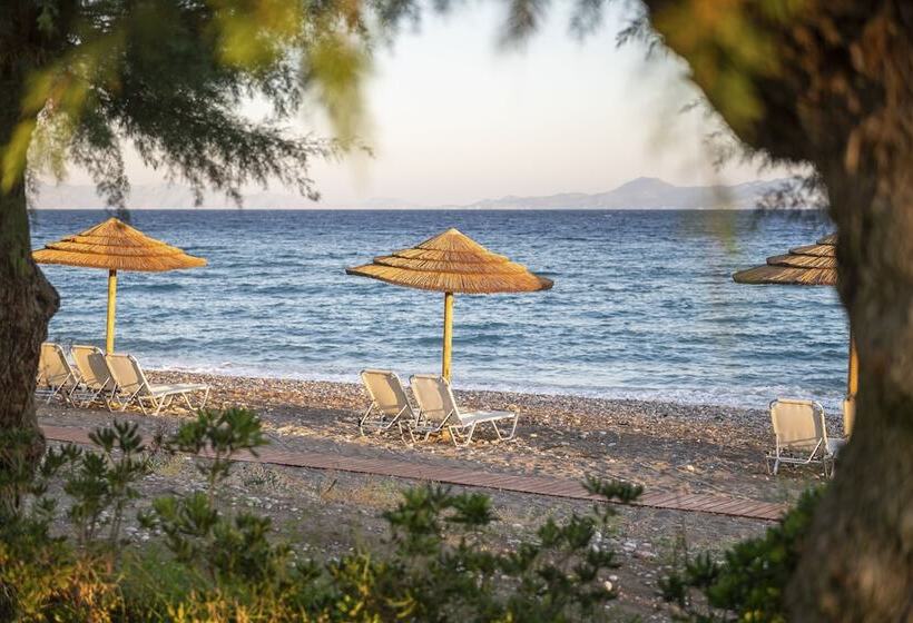 酒店 D Andrea Mare