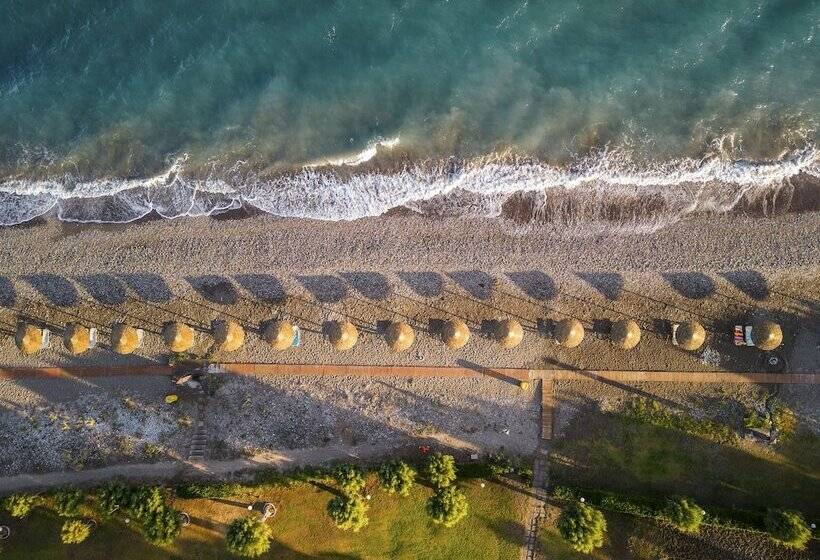 酒店 D Andrea Mare