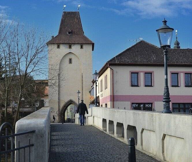 هتل Grand Litava Beroun