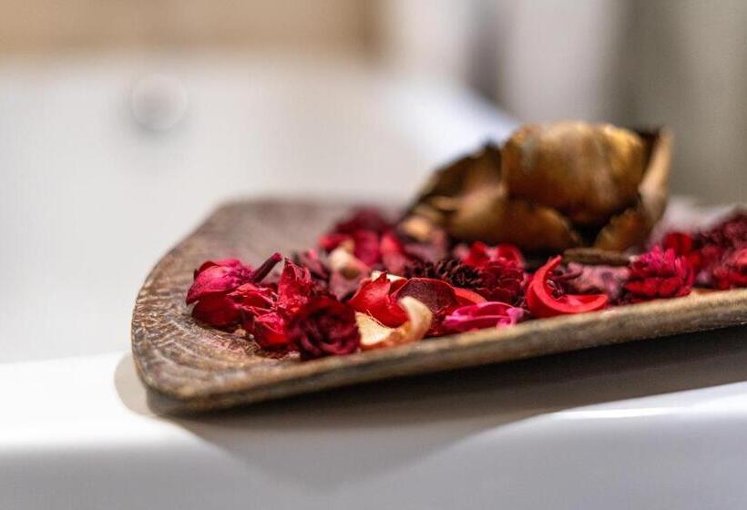 Отель Hissar Spa