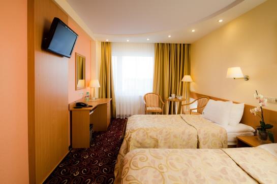 ホテル Izmailovo Beta