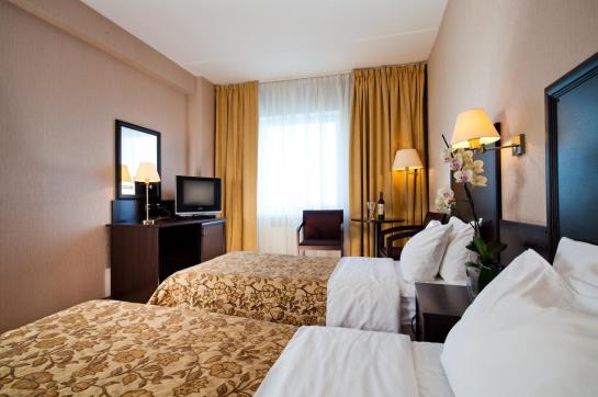 ホテル Izmailovo Beta