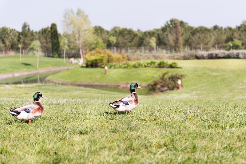 בית מלון כפרי Mas Solà