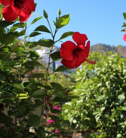 호텔 Orsmaris Boutique