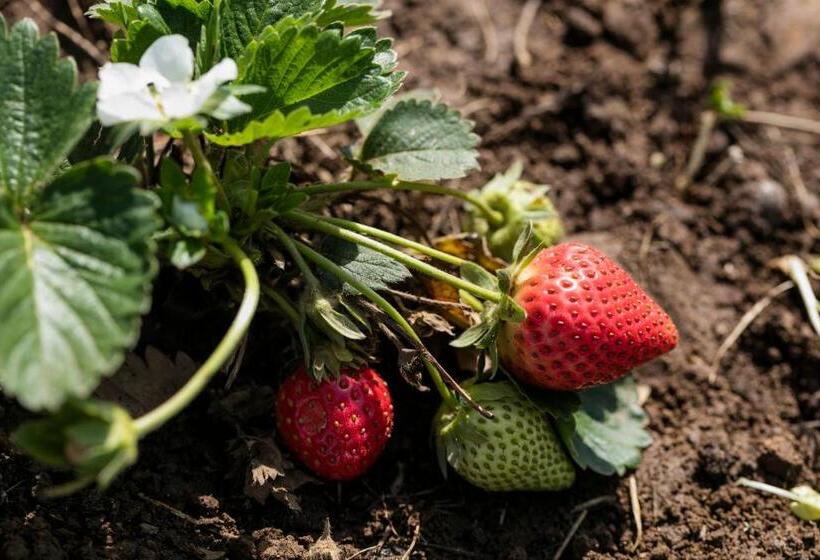 호텔 Orsmaris Boutique