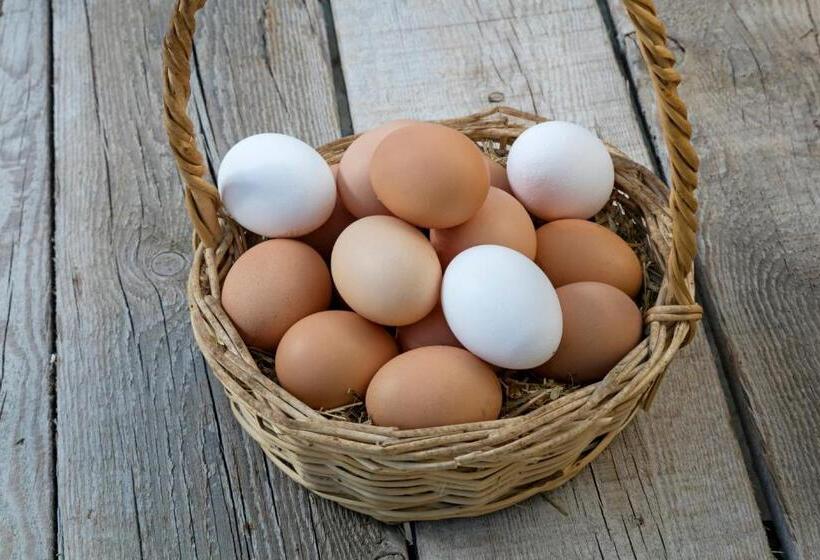 호텔 Orsmaris Boutique