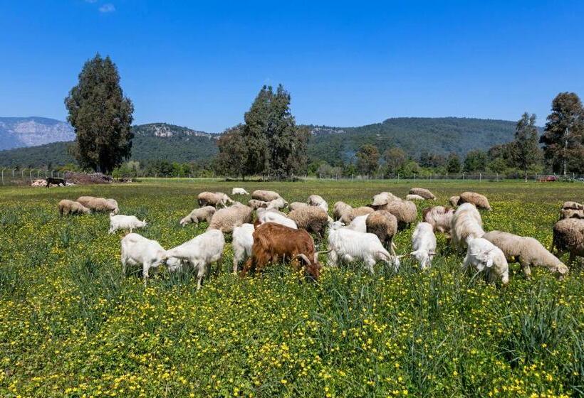 호텔 Orsmaris Boutique