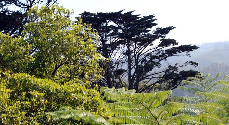 Отель Quinta Da Cova Do Milho