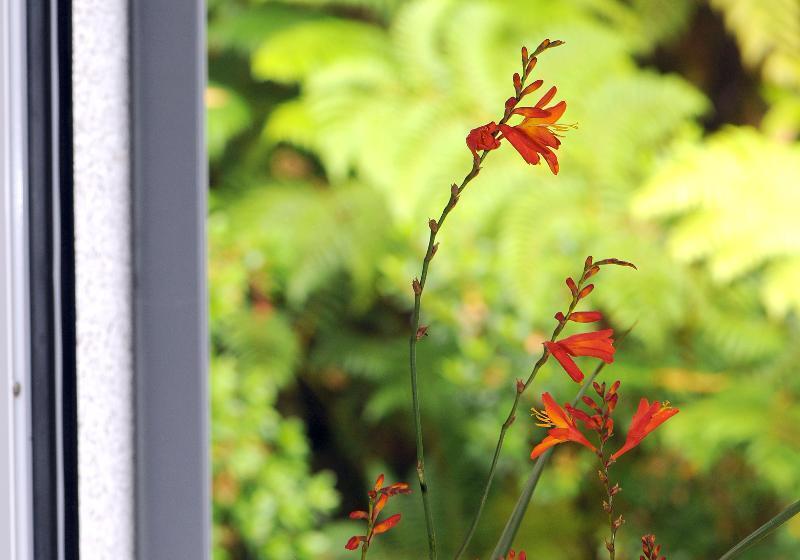 Отель Quinta Da Cova Do Milho