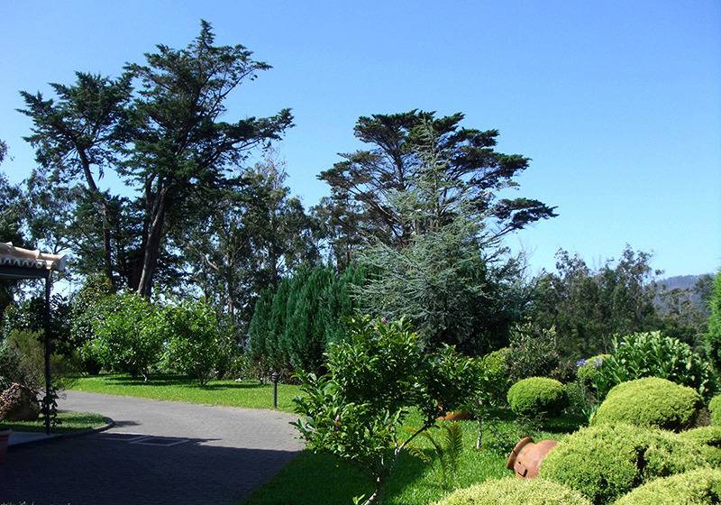 Отель Quinta Da Cova Do Milho