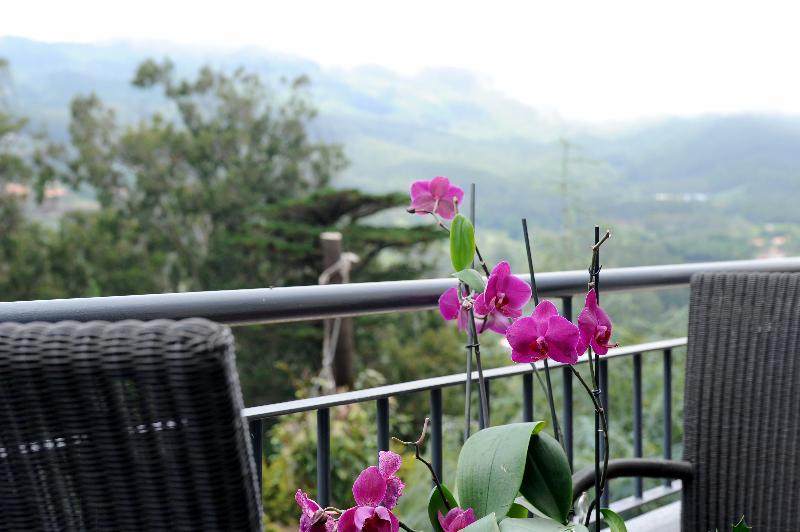 Отель Quinta Da Cova Do Milho