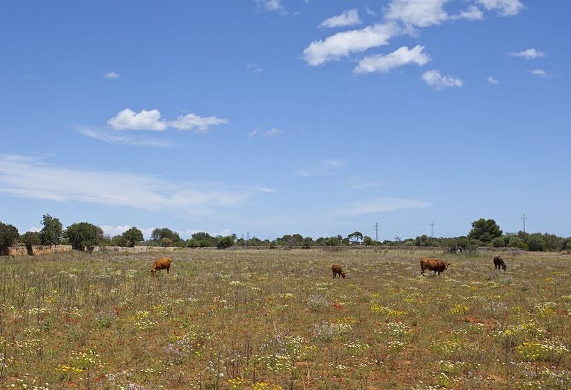 فندق ريفى Agroturisme Na Martina