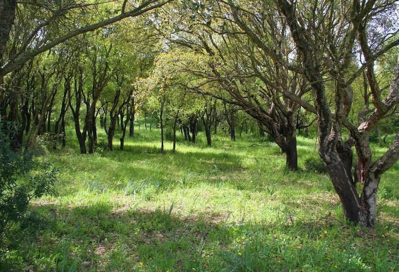 Отель Sa Rocca Sport E Resort