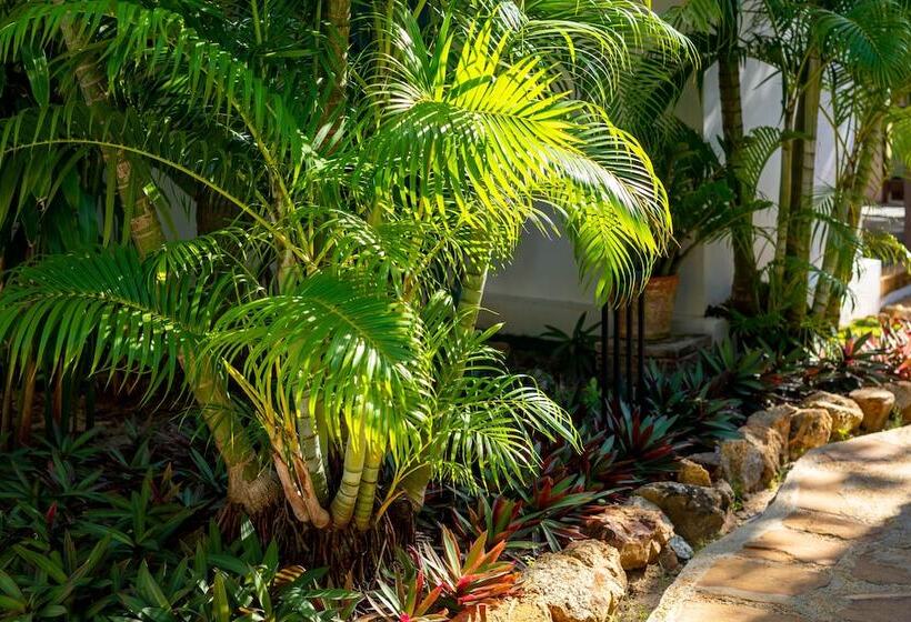 호텔 Samui Natien Resort