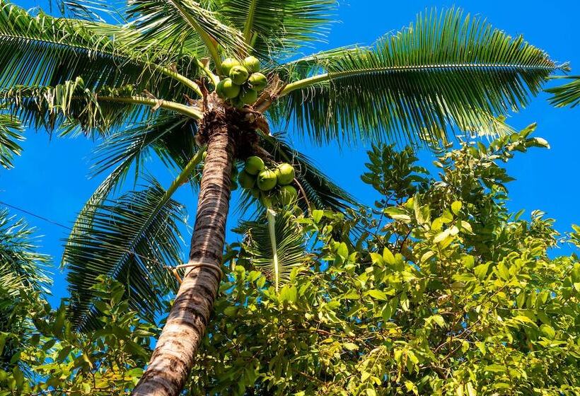 호텔 Samui Natien Resort