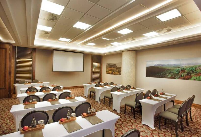 호텔 Sandton Sun And Towers