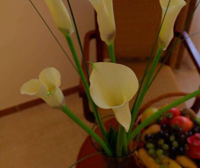 Sharjah Premiere Hotel & Resort