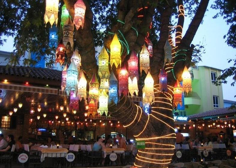 בית מלון כפרי Surtel