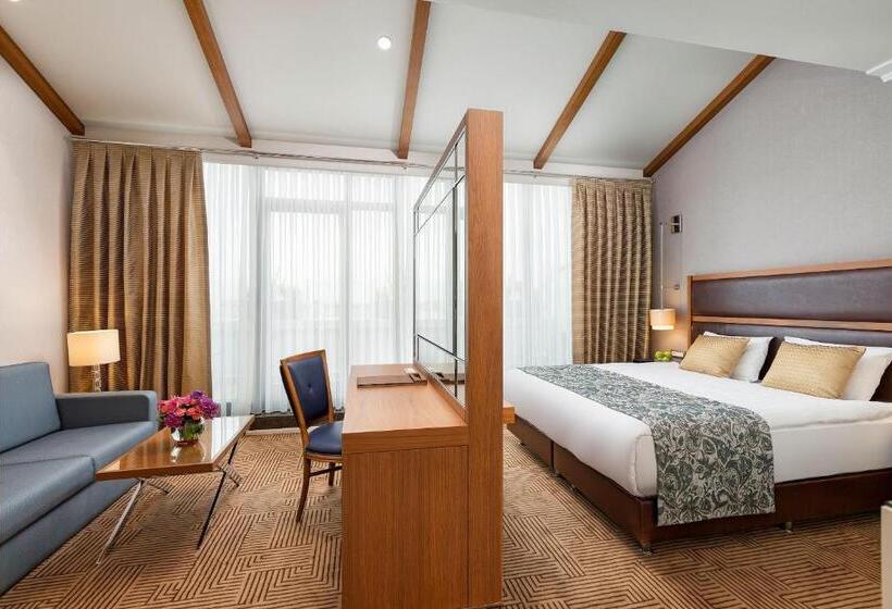 ホテル Titanic City Taksim