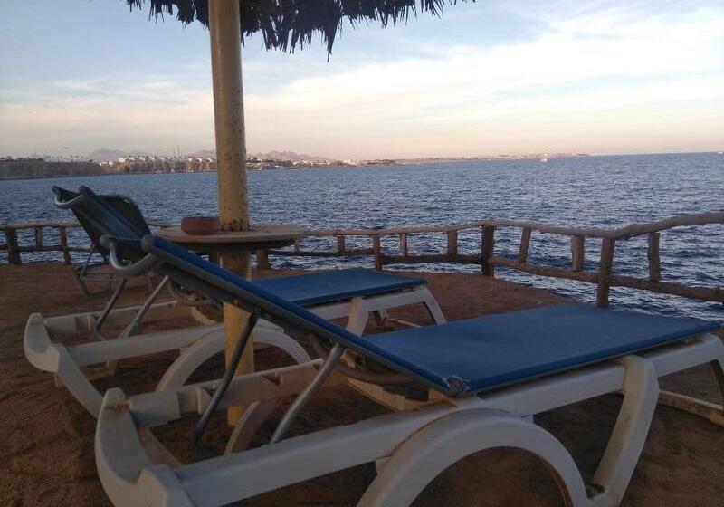 Tivoli Hotel Aqua Park