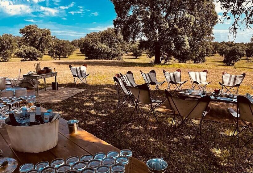 בית מלון כפרי Valdepalacios Gourmand 5 Gl