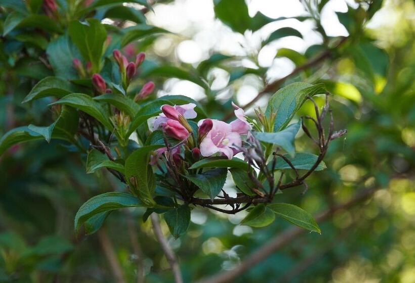 هتل Villa Severin