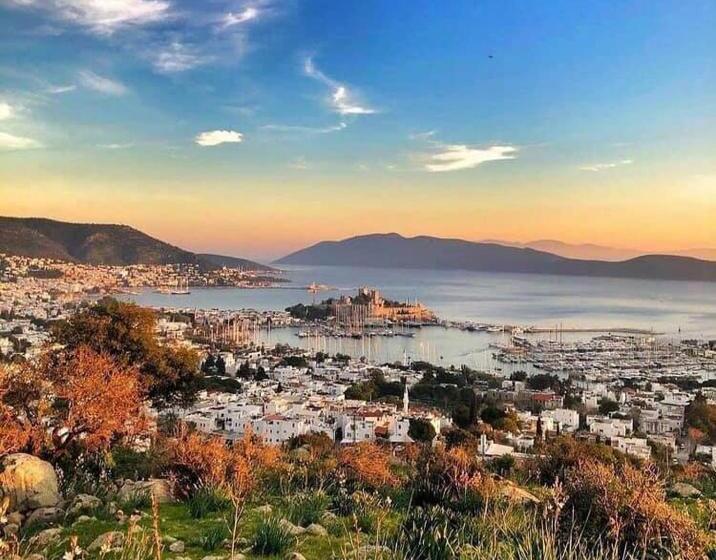 Merve Apartments, Your Home From Home In Central Bodrum, Street Cats Frequent The Property, Not All