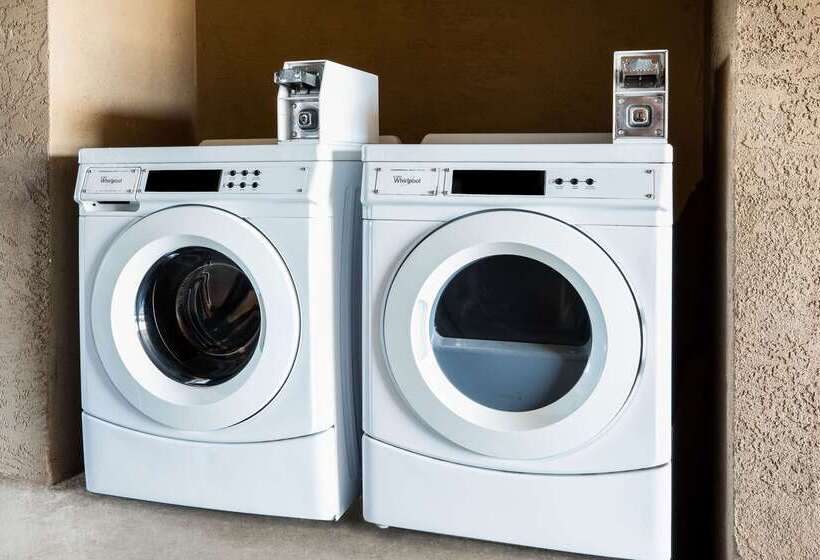 모텔 Super 8 By Wyndham Lindsay Olive Tree