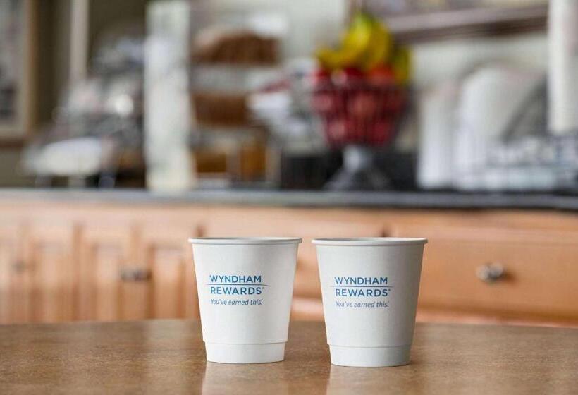 모텔 Super 8 By Wyndham Lindsay Olive Tree