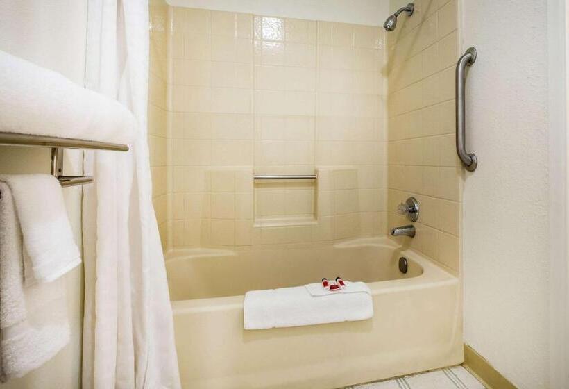 모텔 Super 8 By Wyndham Lindsay Olive Tree