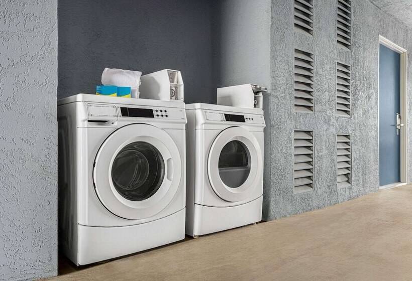 모텔 Super 8 By Wyndham Lindsay Olive Tree