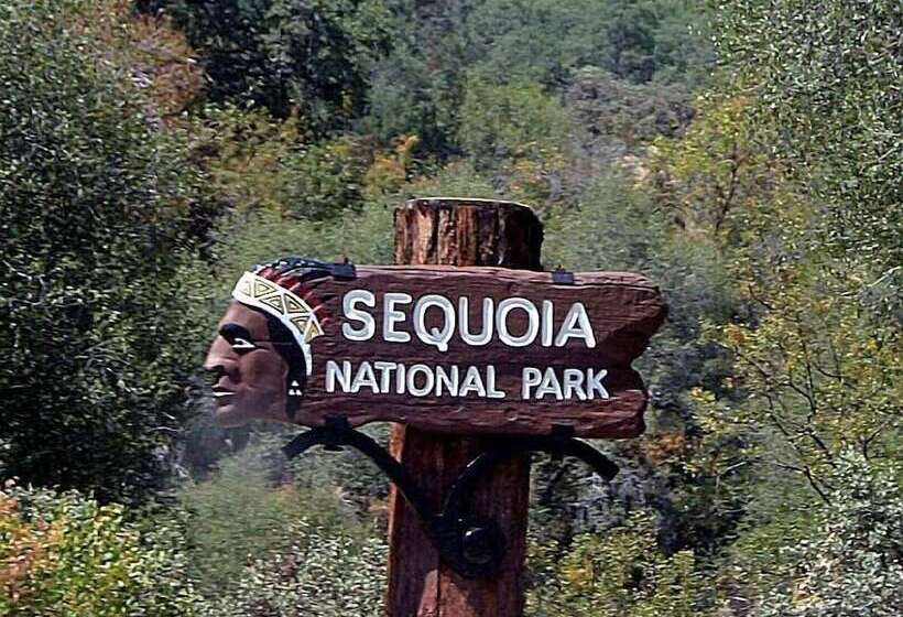 모텔 Super 8 By Wyndham Lindsay Olive Tree