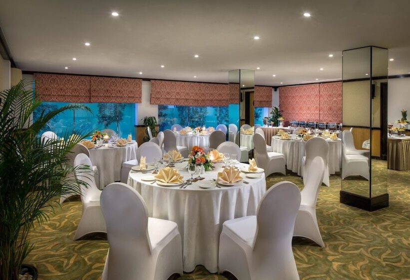 Savoy Suites Hotel Apartment   Newly Renovated