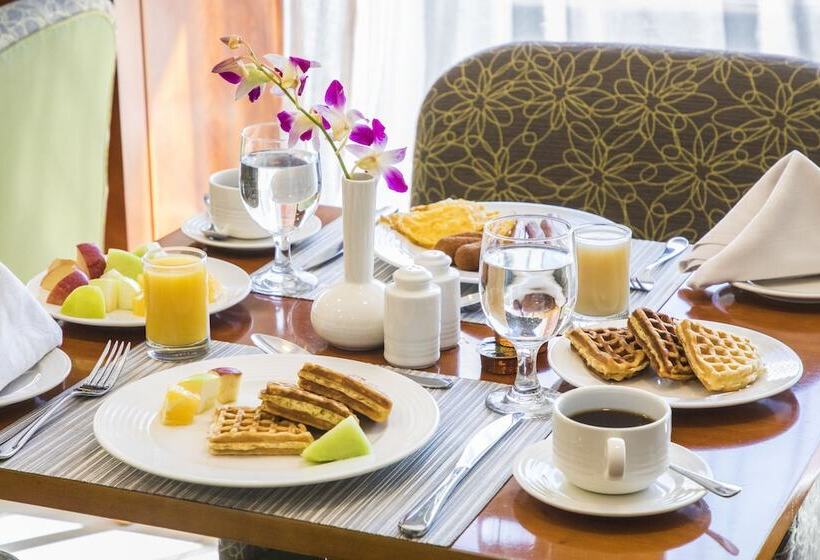 Savoy Suites Hotel Apartment   Newly Renovated