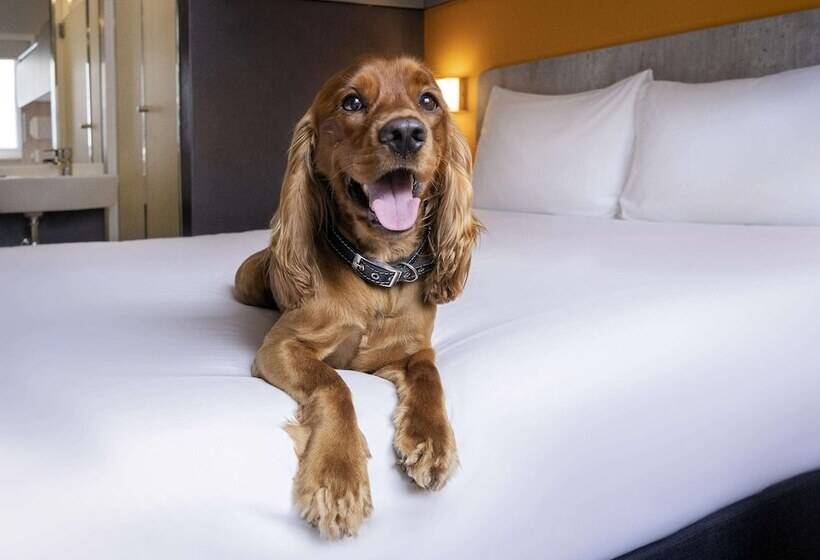 فندق Ibis Budget Lima Miraflores