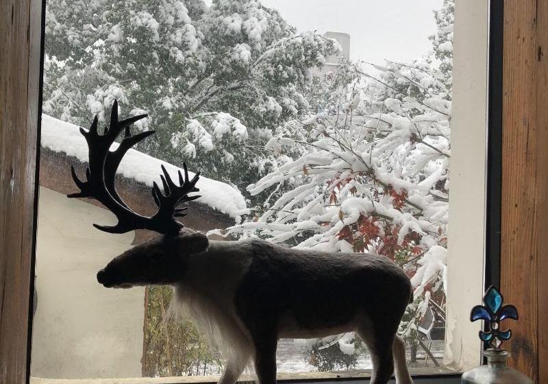 فندق Xinsu West Lake Inn