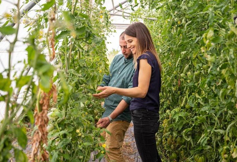 Отель Auberge Au Mai